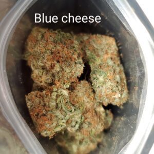 Blue Cheese strain THC medical marijuana Cannabis weed bud delivery dispensary Mississauga GTA Oakville Kitchener Cambridge Waterloo Ontario