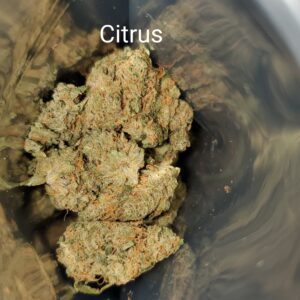 Citrus strain THC medical marijuana Cannabis weed bud delivery dispensary Mississauga GTA Oakville Kitchener Cambridge Waterloo Ontario