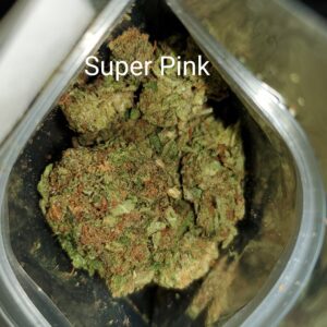 Super Pink strain THC medical marijuana Cannabis weed bud delivery dispensary Mississauga GTA Oakville Kitchener Cambridge Waterloo Ontario