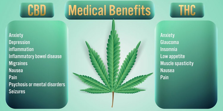 THC---Medical-Benefits CBD Cannabis cures uses
