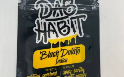 Dab Habit – Shatter